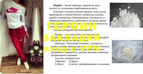 сатива Балахна