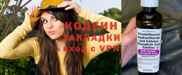 сатива Балахна