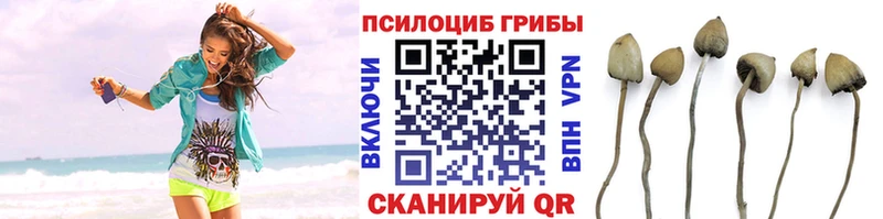 Псилоцибиновые грибы мицелий  блэк спрут как войти  Гаврилов-Ям 